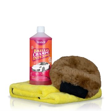 Premium Kit Pour Le Lavage De Peinture Extérieur
