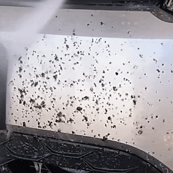 Aclarado con máquina a presión del parachoques delantero de un coche lleno de mosquitos