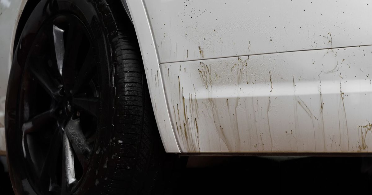 L’image montre le flanc d’une voiture blanche avec des taches de goudron sur la carrosserie près de la roue arrière. Les marques sombres contrastent avec la couleur claire du véhicule, indiquant de la saleté et la nécessité d’un nettoyage.